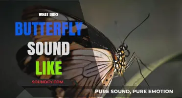 Unveiling the Delicate Whispers: What Does a Butterfly Sound Like?