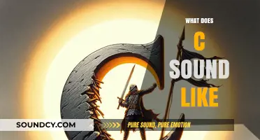 Unveiling the Unique Sonic Signature: What Does the Letter C Sound Like?