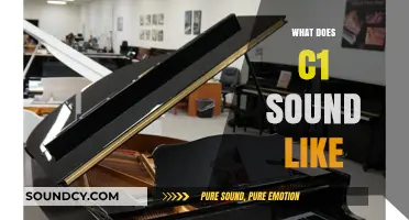 Exploring the Unique Sound of C1: A Comprehensive Audio Guide