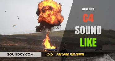 Exploring the Distinctive Sonic Signature of C4 Explosives