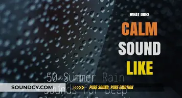 Exploring the Soothing Sounds of Serenity: What Does Calm Sound Like?