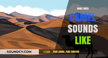 Unveiling the Unique Vocalizations: What Does a Camel Sound Like?