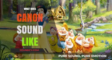 Exploring the Sonic Signature: What Does Canon Sound Like?