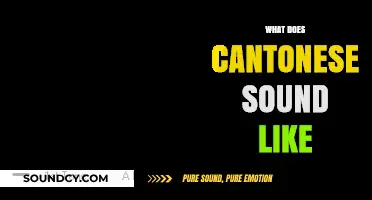 Exploring Cantonese: Unique Tones, Rhythms, and Sounds of the Language