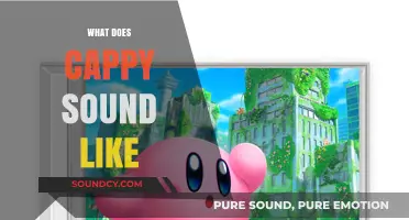 Unveiling Cappy's Unique Voice: What Does Cappy Sound Like?