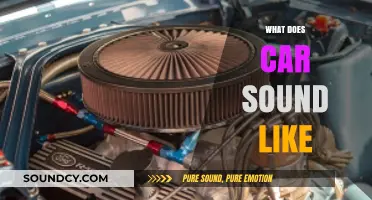 Exploring the Unique Sounds of Cars: From Engines to Exhausts