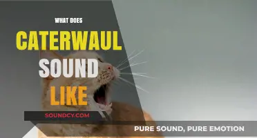 Unraveling the Eerie, Haunting Sound of a Caterwaul: What to Expect