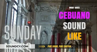 Exploring the Unique Melody and Rhythm of Cebuano Speech