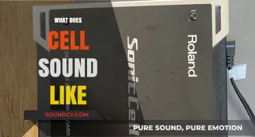 Unveiling the Sonic Secrets: What Does a Cell Truly Sound Like?