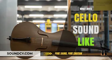 Exploring the Rich, Warm, and Expressive Sound of the Cello