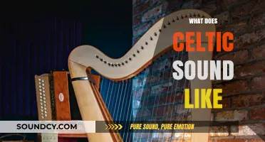 Exploring the Unique Sound and Style of Celtic Music