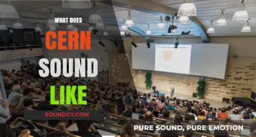 Unveiling the Sonic Secrets: What Does CERN Sound Like?