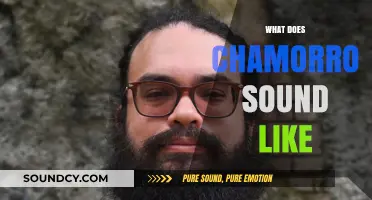Exploring the Unique Sounds and Rhythms of the Chamorro Language
