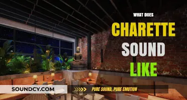 Unveiling the Unique Sonic Identity of Charette: A Comprehensive Exploration
