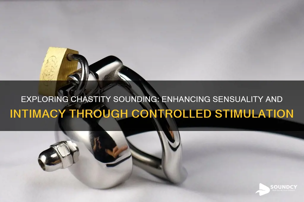 what does chastity sounding do