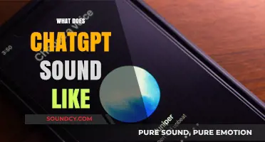 Exploring ChatGPT's Voice: What Does Its Tone and Style Sound Like?