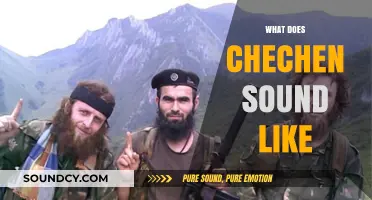 Exploring the Unique Sounds and Rhythms of the Chechen Language