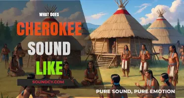 Exploring the Unique Sounds and Rhythms of the Cherokee Language