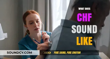 Unraveling the Sounds of Congestive Heart Failure: What to Listen For