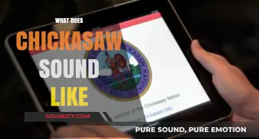Exploring the Unique Sounds and Pronunciation of the Chickasaw Language