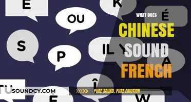 Why Chinese Phonetics Sometimes Sound Surprisingly French to Foreign Ears