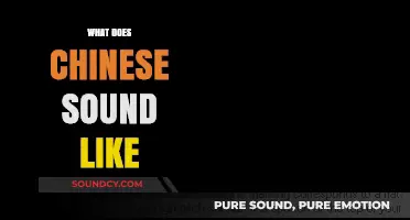 Exploring the Unique Tones and Melodies of Chinese Language Sounds
