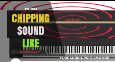Unraveling the Unique Acoustic Signature of Chipping Sounds