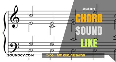 Exploring the Rich, Harmonious Sound of Chords in Music