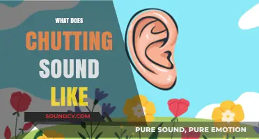 Unraveling the Unique Sound of Chutting: A Comprehensive Auditory Guide