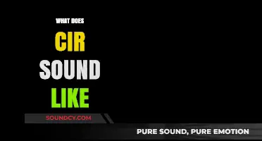 Unveiling the Unique Auditory Experience: What Does CIR Sound Like?