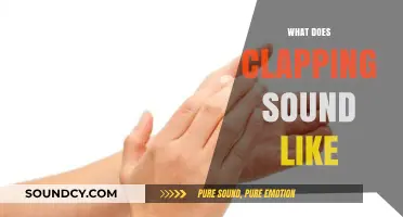 Exploring the Unique Acoustic Qualities of Clapping Sounds