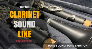 Discover the Rich, Vibrant, and Expressive Sound of the Clarinet