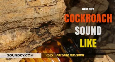 Unveiling the Mysterious Noises: What Does a Cockroach Sound Like?