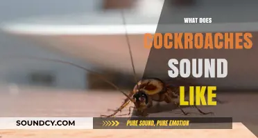 Unveiling the Mysterious Noises: What Do Cockroaches Sound Like?