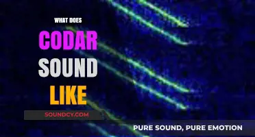 Exploring the Unique Sonic Qualities of Codar: What Does It Sound Like?