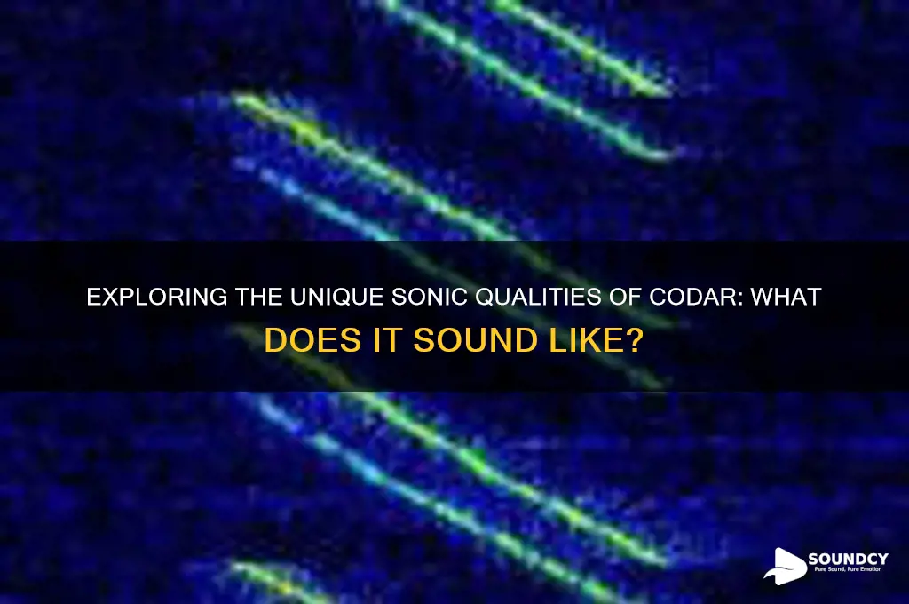 what does codar sound like