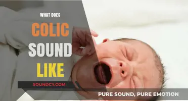 Understanding Colic: Decoding the Distressing Sounds of a Crying Baby