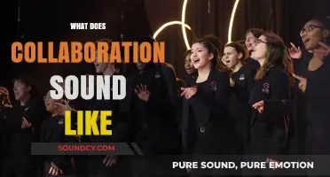 What Does Collaboration Sound Like: Uniting Voices, Ideas, and Actions
