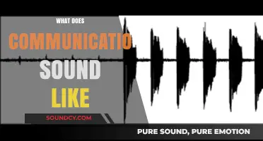 Decoding Communication: Exploring the Sounds and Rhythms of Human Interaction