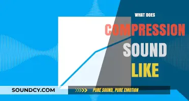 Exploring the Audible Effects of Compression in Music Production