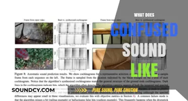 Decoding Confusion: The Audible Signs of Uncertainty and Disorientation