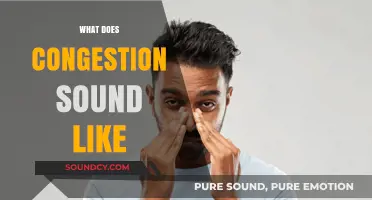 Decoding Congestion: Understanding the Sounds of Blocked Airways and Nasal Passages