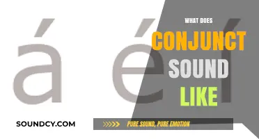 What Does Conjunct Sound Like? Exploring the Unique Phonetic Quality