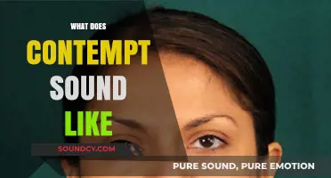 Decoding Contempt: Recognizing the Tone and Words That Signal Disdain