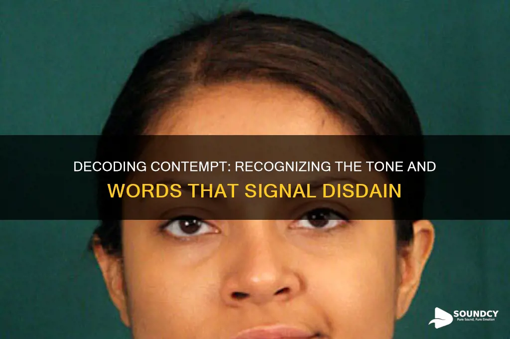 what does contempt sound like