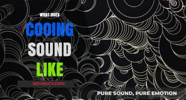 Understanding the Gentle, Soothing Melody of Cooing Sounds