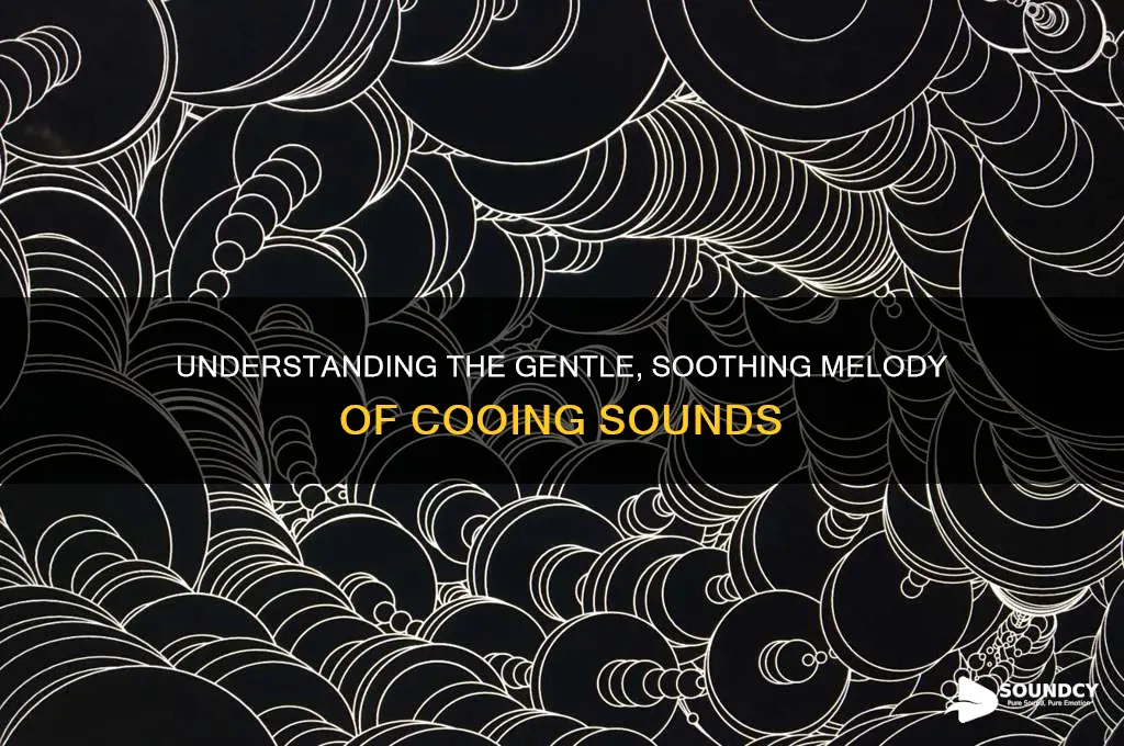 what does cooing sound like