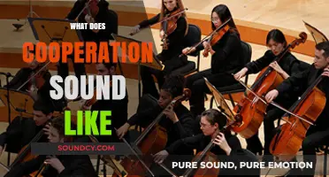 The Symphony of Collaboration: Unveiling the Sounds of Effective Cooperation