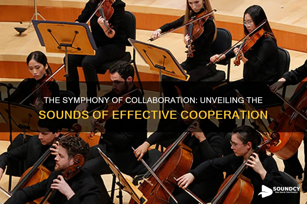 what does cooperation sound like