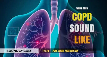 Understanding COPD: Identifying the Distinct Sounds of Chronic Lung Disease